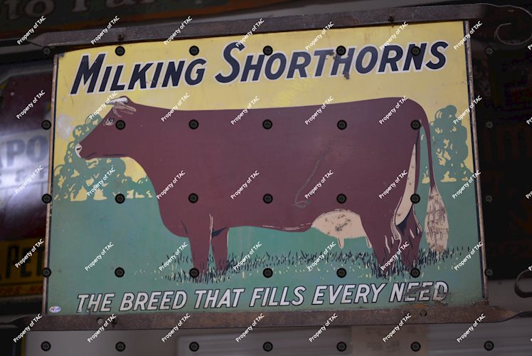 Milking Shorthorns The Breed That Fills Every Need" Metal Sign"