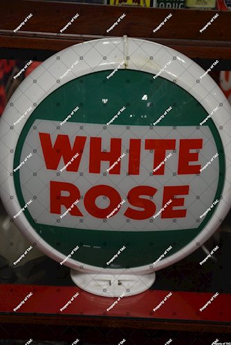 White Rose 13.5 single globe lens"